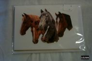 horses heads